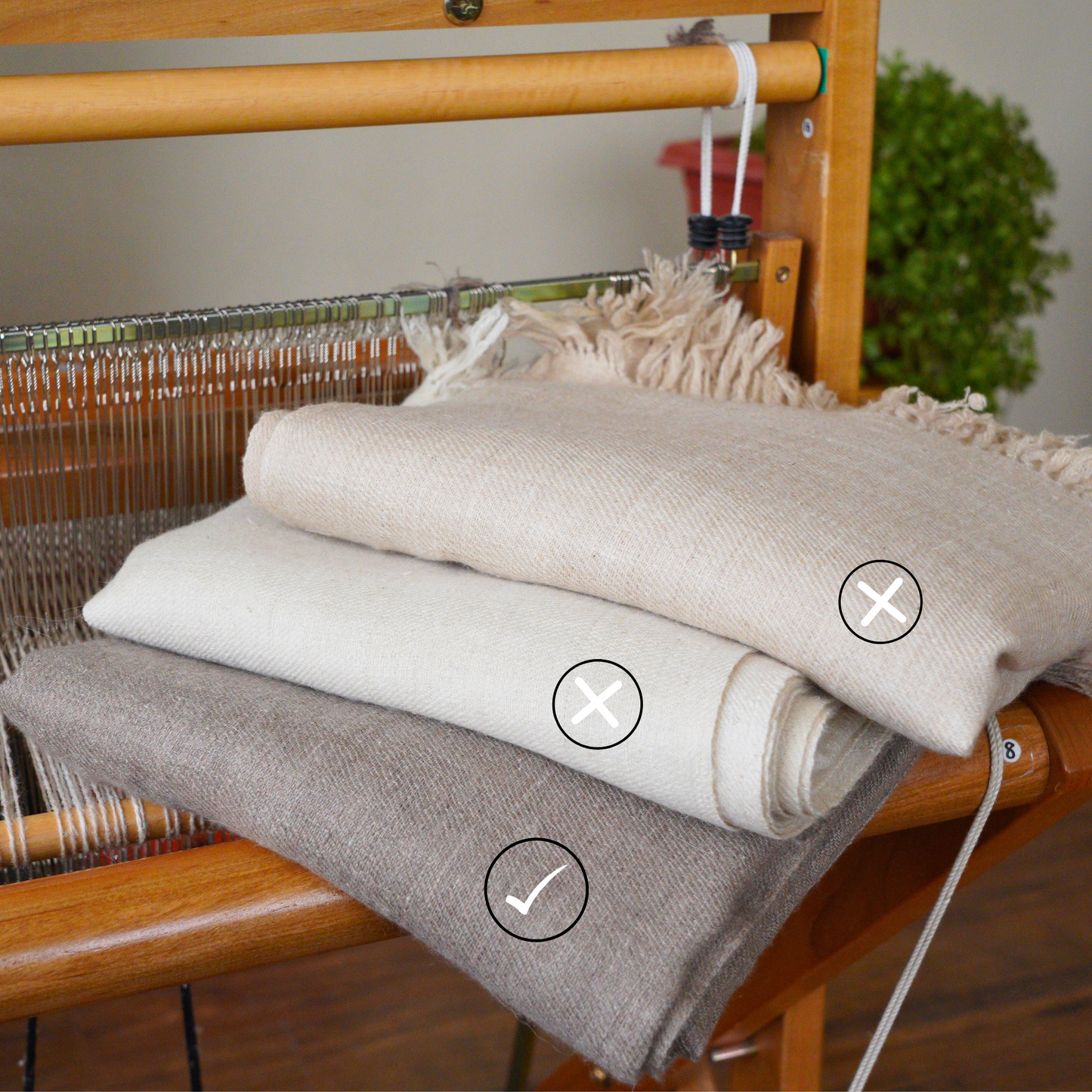 Grey Pashmina Shawl
