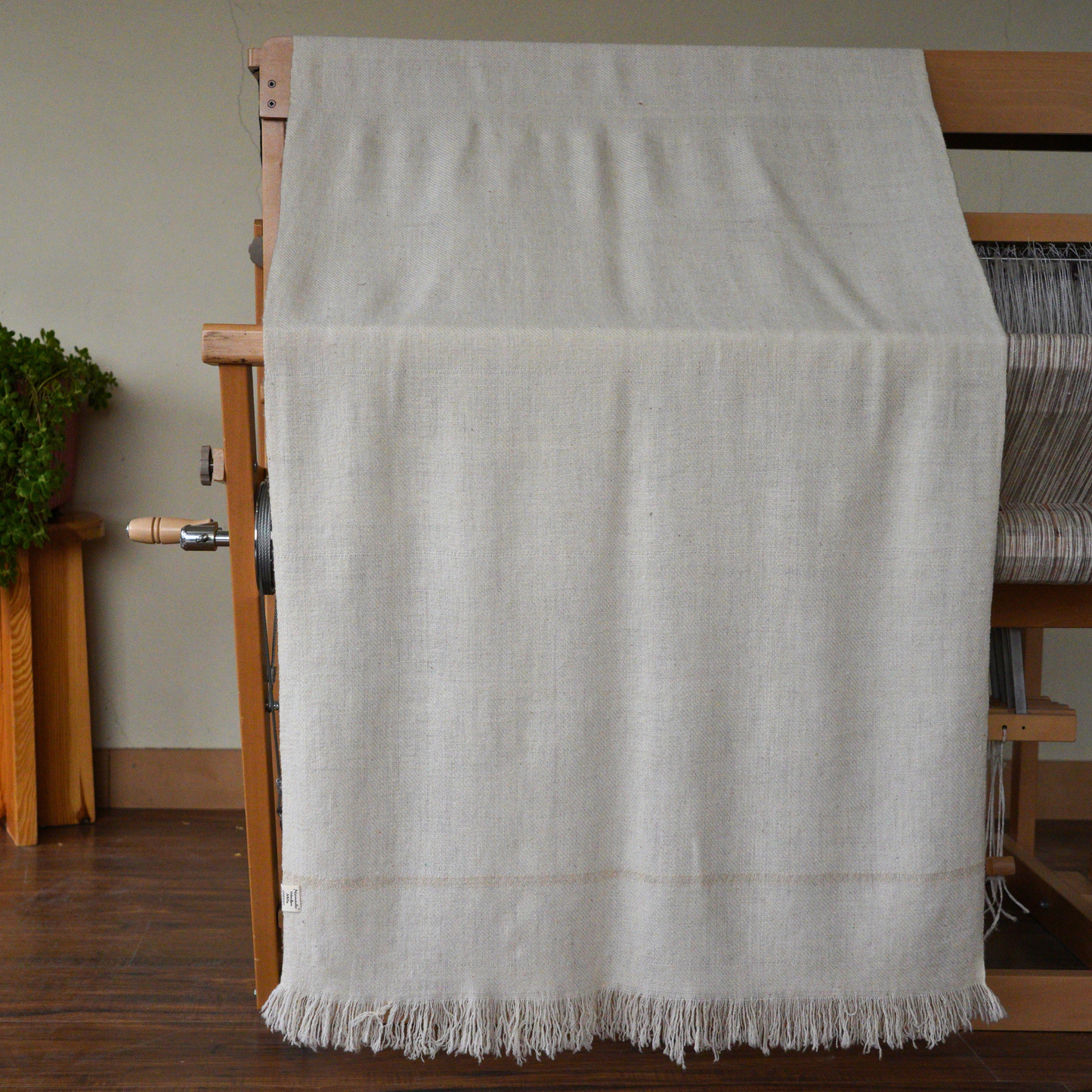 Medium Pashmina Shawl
