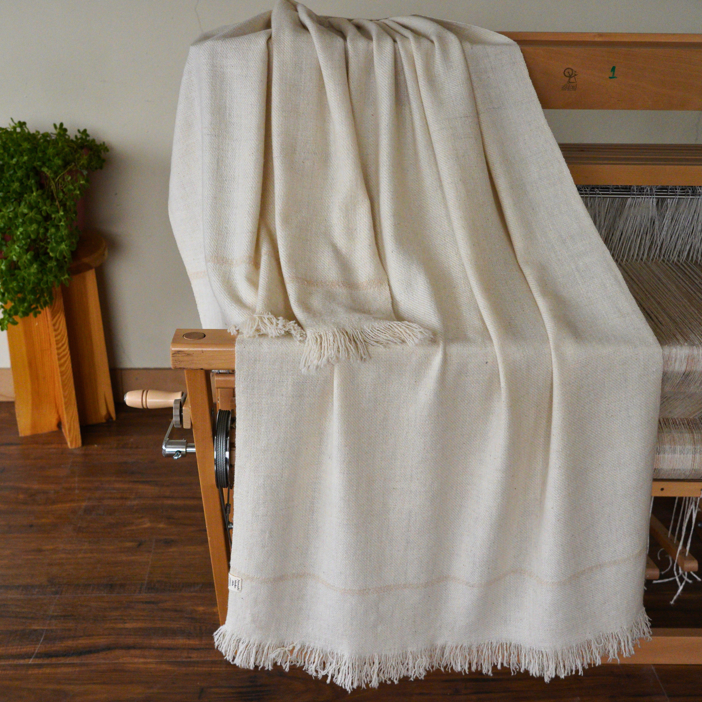 Medium Pashmina Shawl