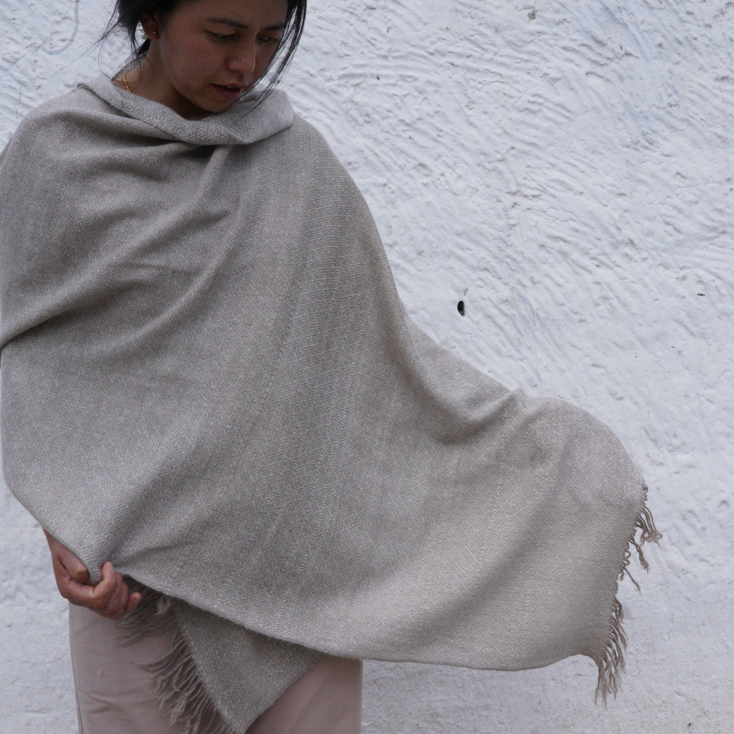 Dual-Toned Pashmina Shawl.
