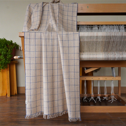 Indigo Check Medium Pashmina Shawl