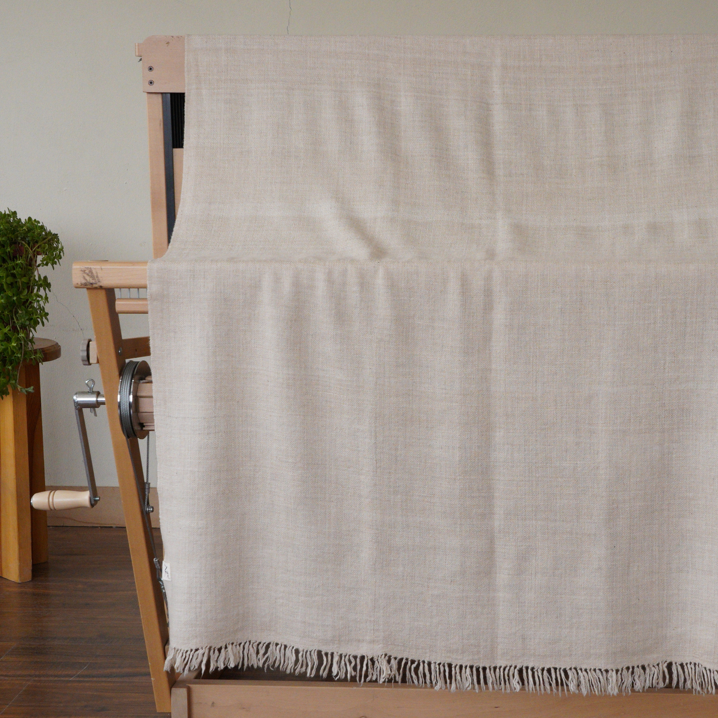 Natural Beige Pashmina Shawl