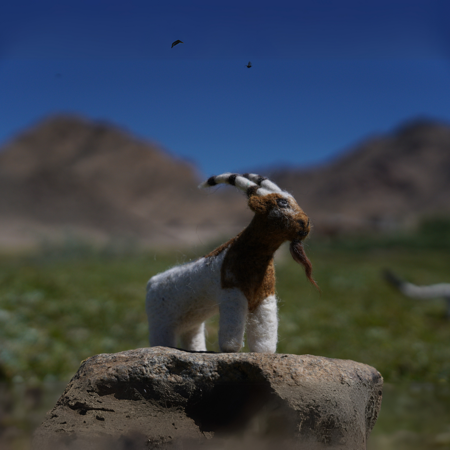 Ibex – Needle-Felted by Ladakhi Farmers