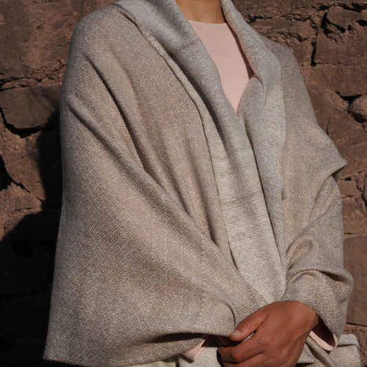 Dual-Toned Pashmina Shawl.