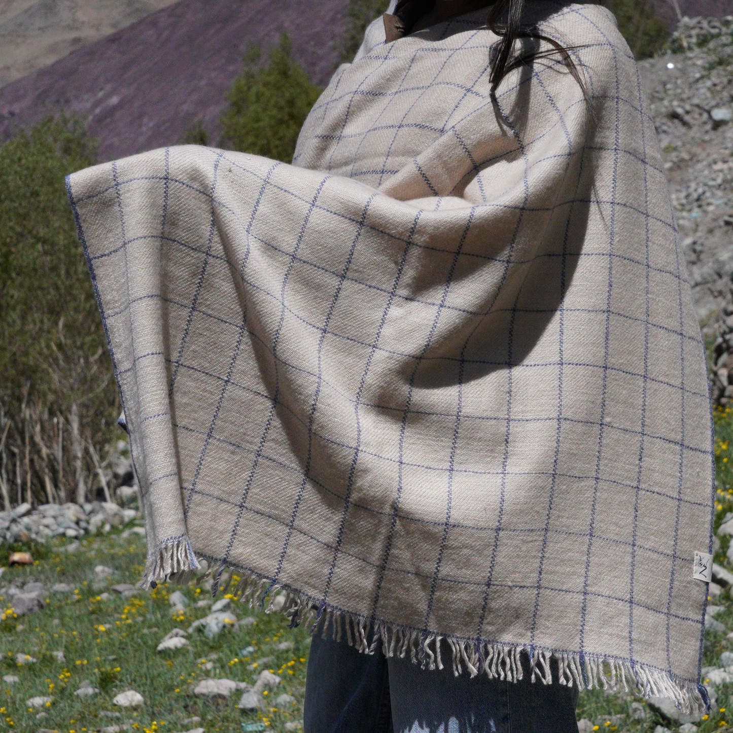 Indigo Check Medium Pashmina Shawl