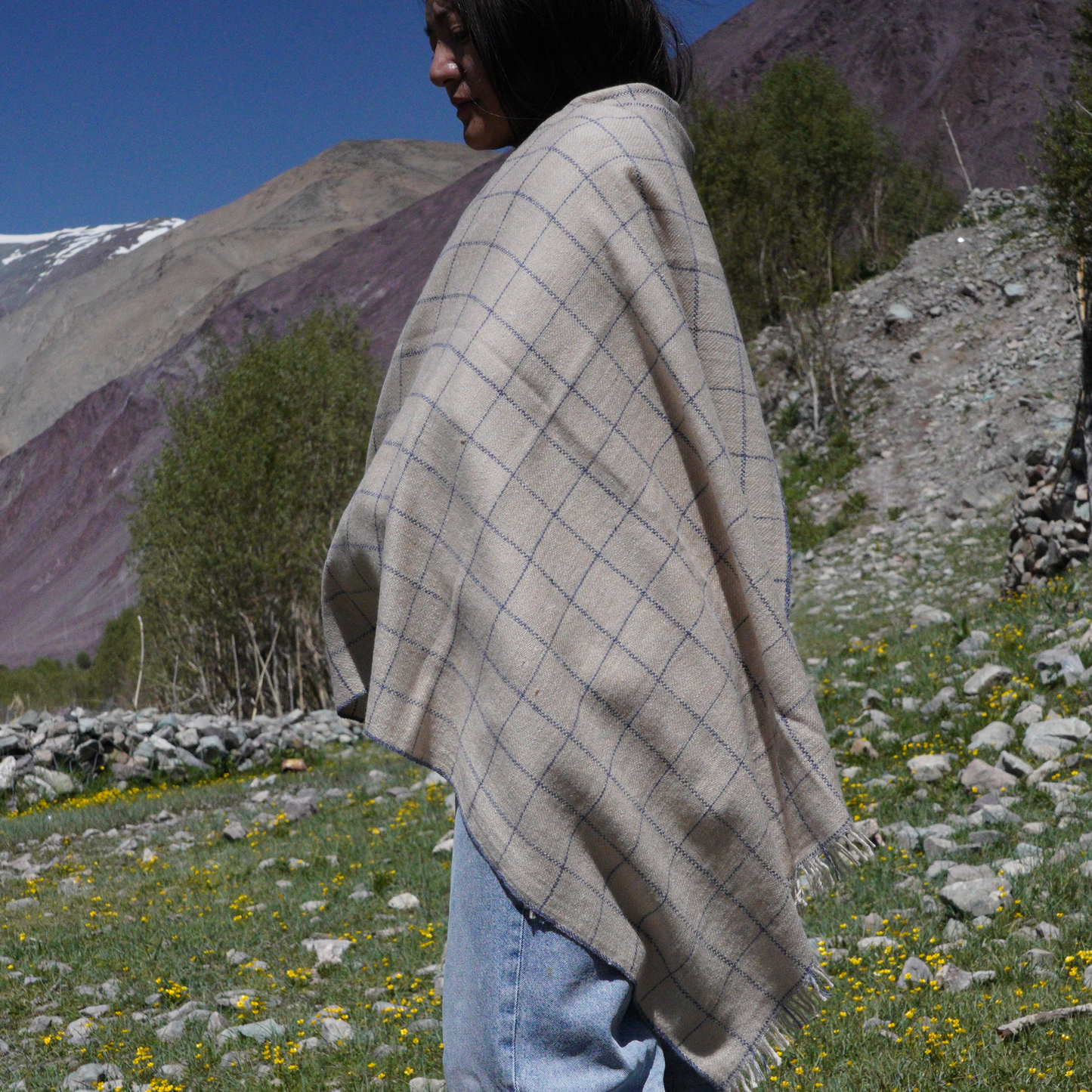 Indigo Check Medium Pashmina Shawl