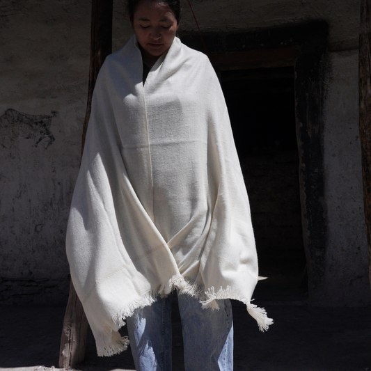 Medium  Pashmina Shawl