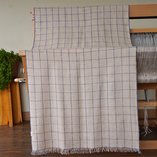 Indigo Check Medium Pashmina Shawl